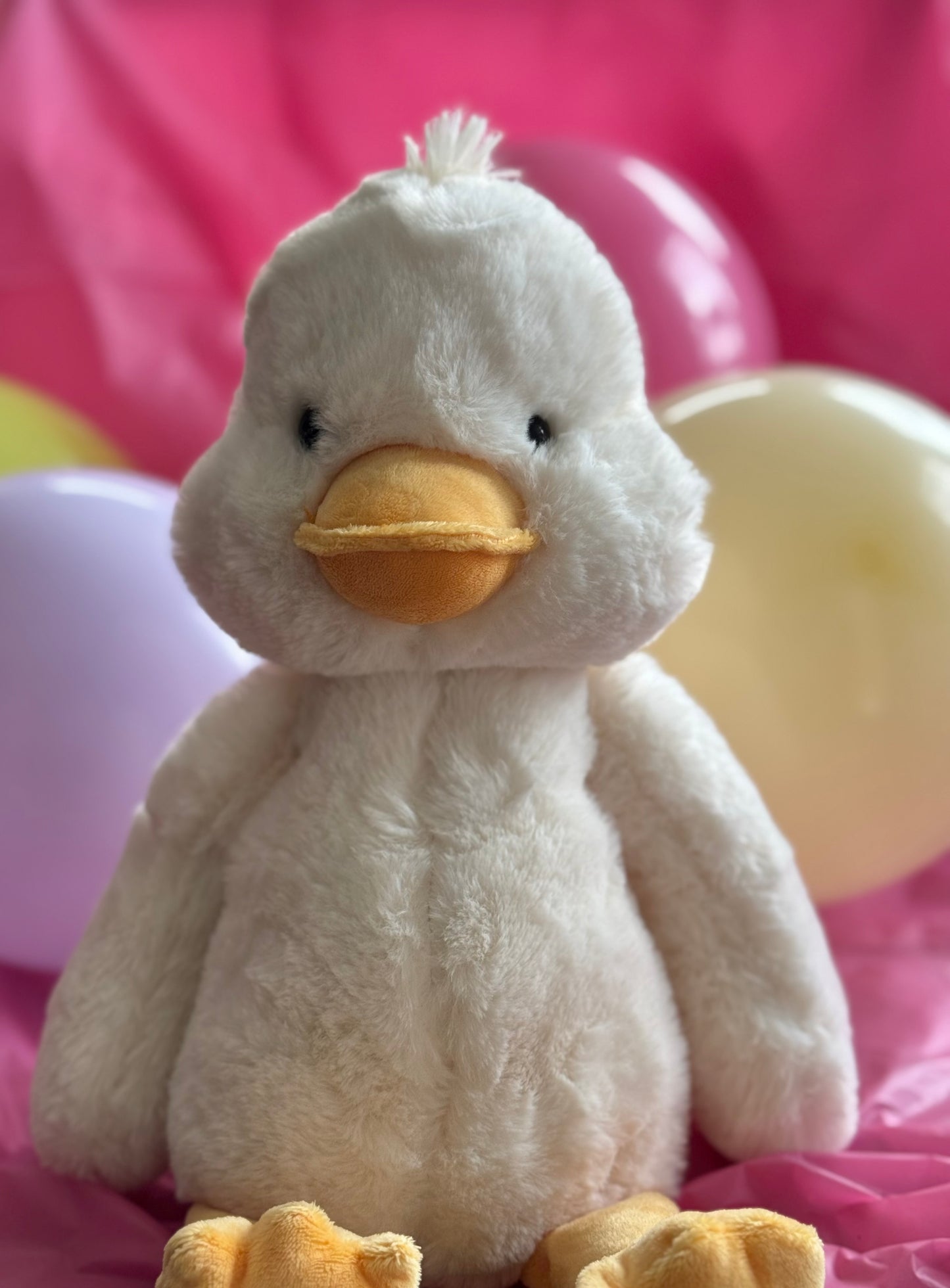 Nugget the Duckš¤