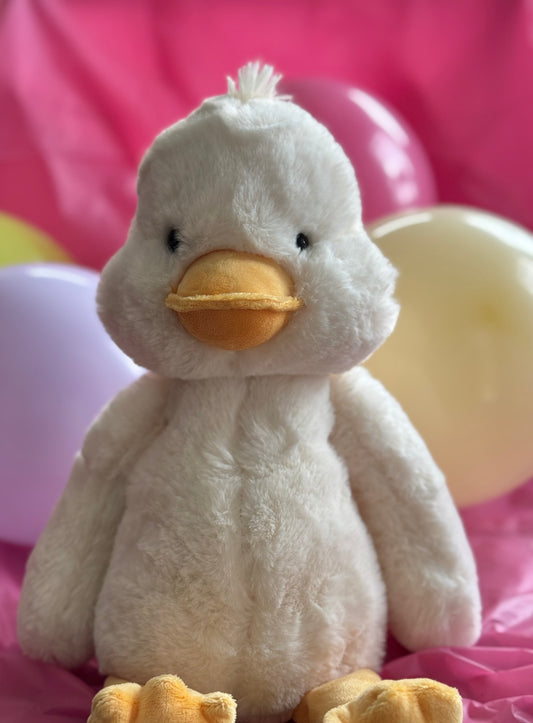 Nugget the Duck🐤