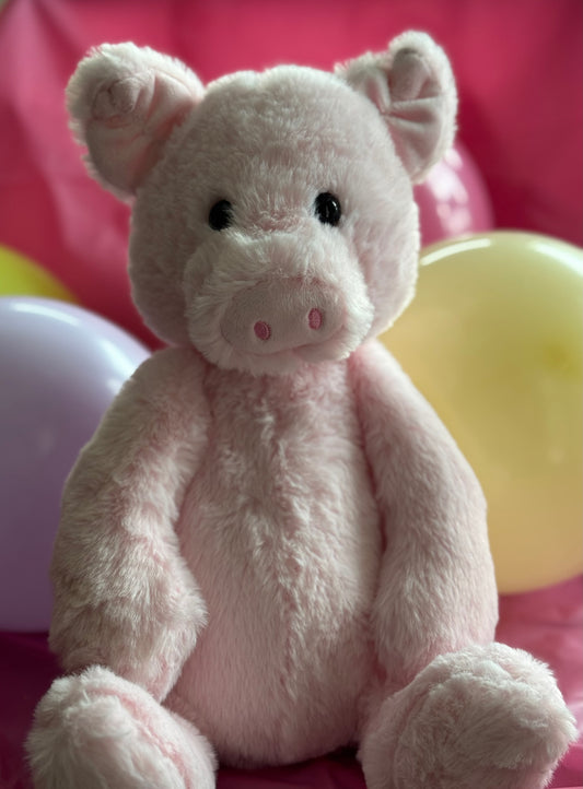 Hamish the Pig🐷