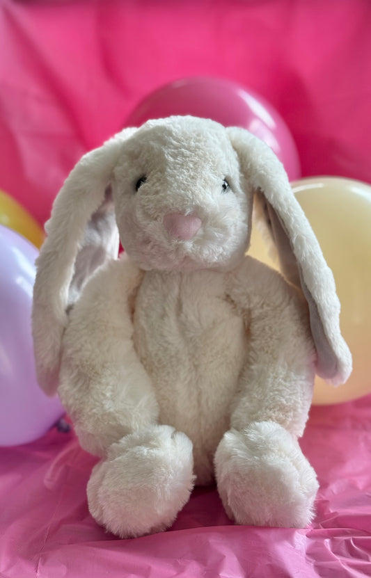 Bunbun the Rabbit🐰