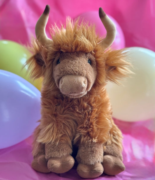 Hudson the Highland Cow🐂